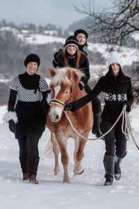 Tierfotografie-Pferdeshooting-Araber-Haflinger-Schiefling-5