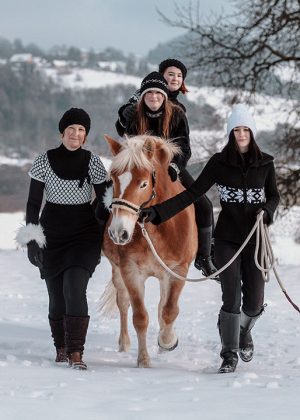 Tierfotografie-Pferdeshooting-Araber-Haflinger-Schiefling-5