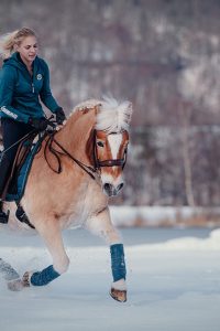 Tierfotografie-Pferdeshooting-Haflinger-Ferlach-6
